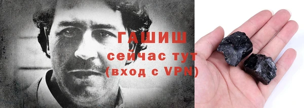 индика Козельск