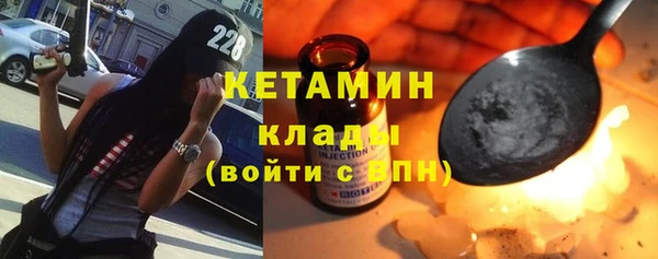 индика Козельск