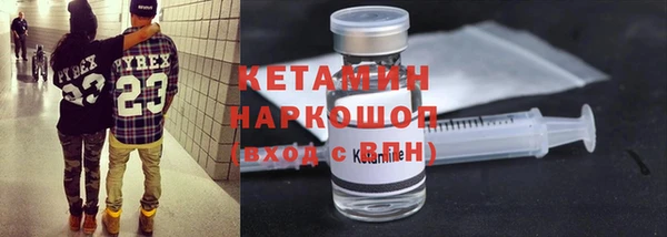 индика Козельск