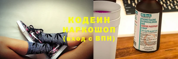 индика Козельск