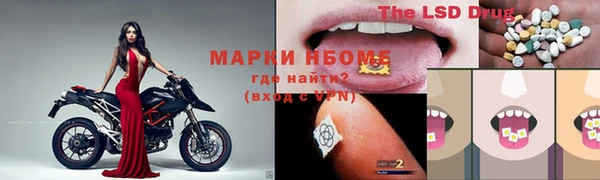 индика Козельск