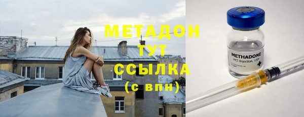 индика Козельск