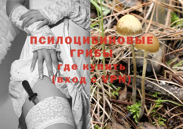 спайс Козловка
