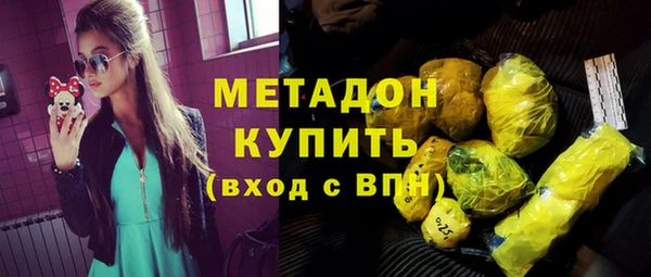 индика Козельск
