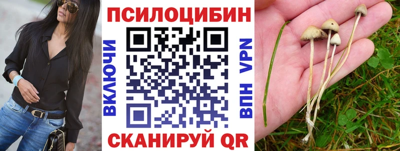 кракен вход  Миллерово  Галлюциногенные грибы Psilocybine cubensis 