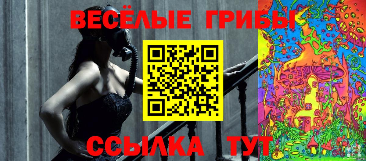 Галлюциногенные грибы Psilocybine cubensis  Вход с VPN  Миллерово 