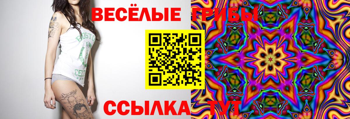 Псилоцибиновые грибы прущие грибы Миллерово